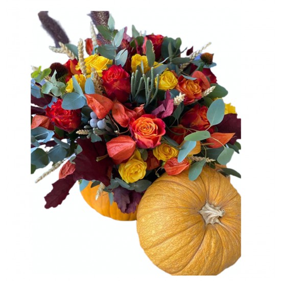 Roses, Eucalyptus in Pumpkins Roses, Eucalyptus in Pumpkins
