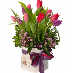 Box of Tulips and Wax 
