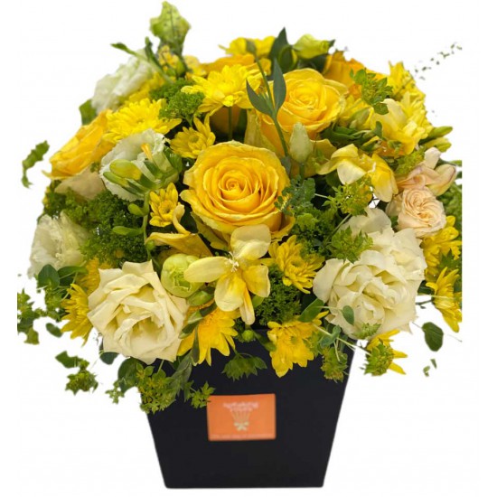 Box of Roses, Eustoma, Fresia, Chrysanthemums and Greens Box of Roses, Eustoma, Fresia, Chrysanthemums and Greens