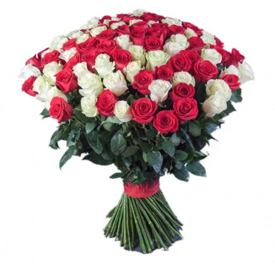 101 Red Roses 101 Red Roses