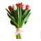 Tulips 9