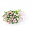 Tulips 25