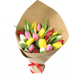Tulips 25 Mix