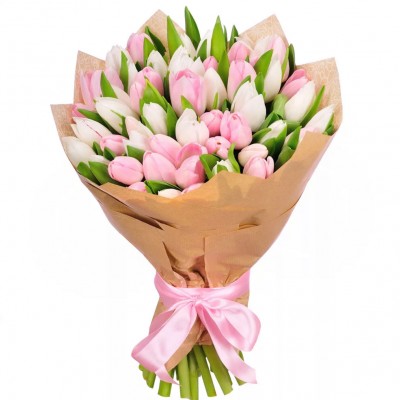 Tulips 51 White and Pink 