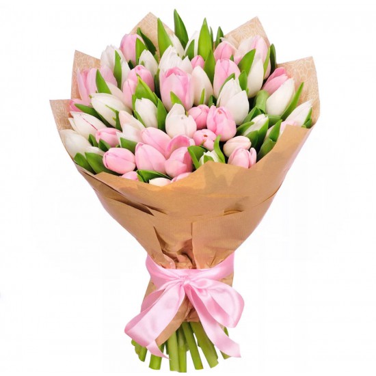 Tulips 51 White and Pink Tulips 51 White and Pink