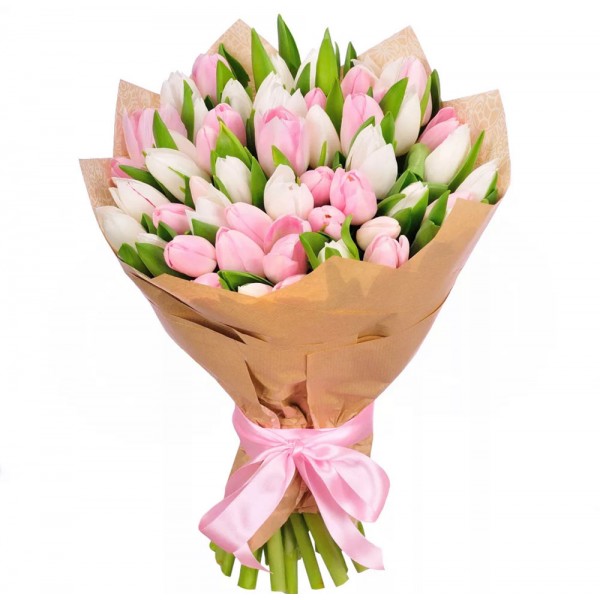 Tulips 51 White and Pink 