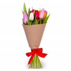 Tulips 9 Mix