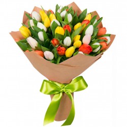 Tulips 39 Mix