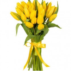 Tulips 25 Yellow 