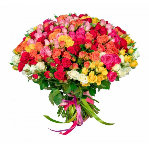 51 Mixed Coloured Spray Roses