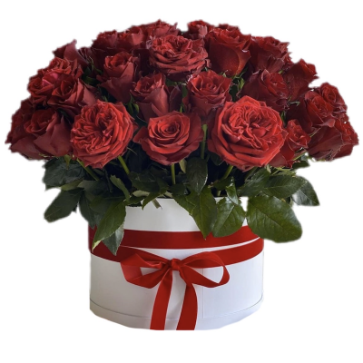 51Red Roses in the box