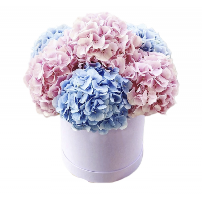 Box of Hydrangeas