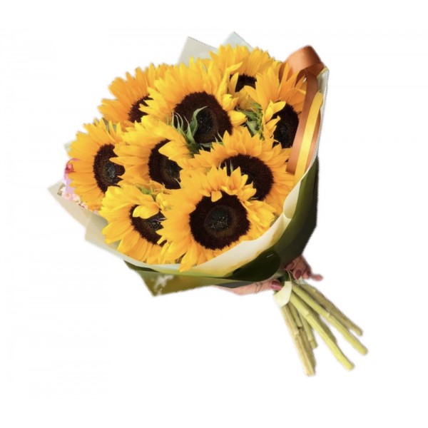 Bouquet of 10 Sunflowers