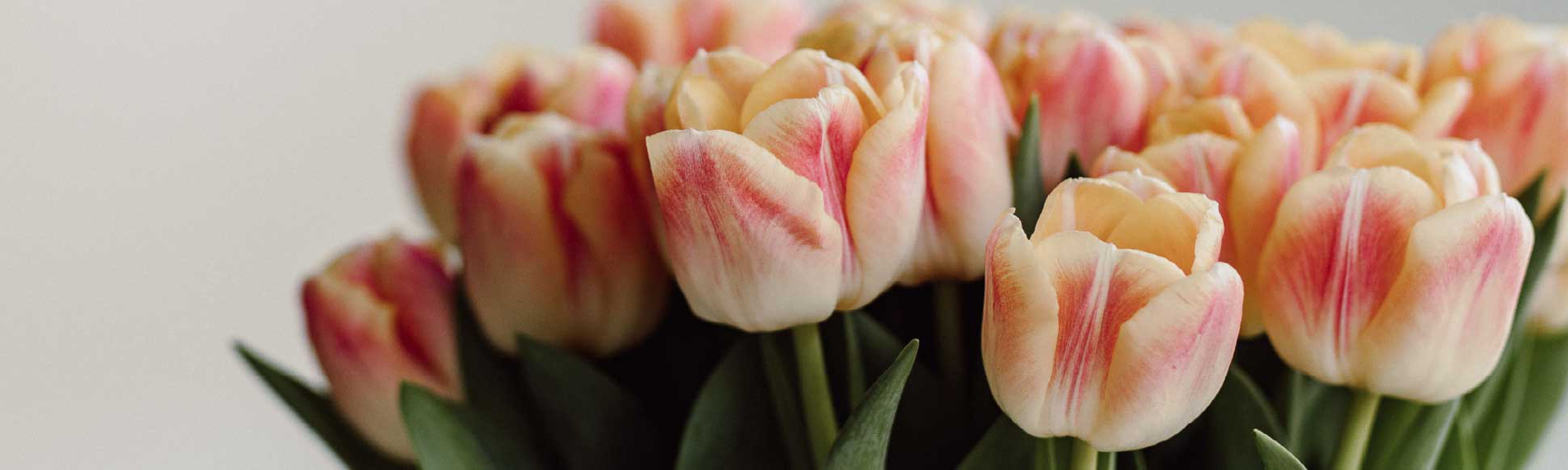 Speaking Roses Cyprus - Flower Shop - Цветочный магазин