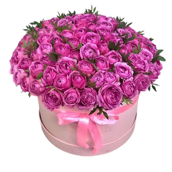 101 Spray Roses 101 Spray Roses