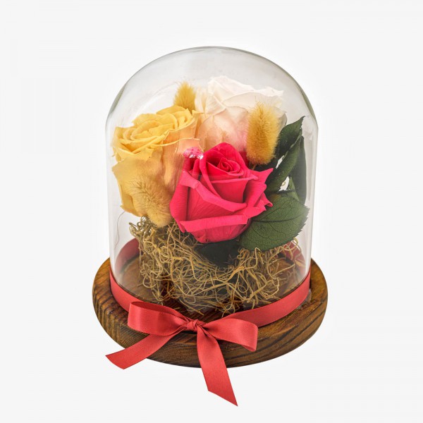 Preserved roses in glass jar 