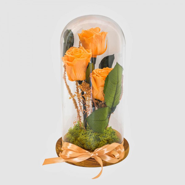 Preserved roses in tall Jar 