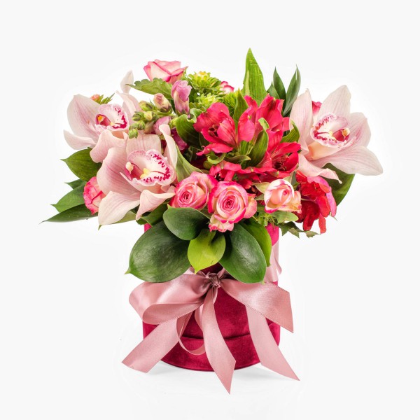 Colourful box of flowers 