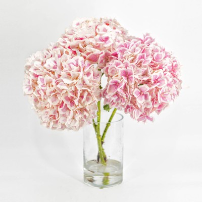 Bouquet Hydrangea 