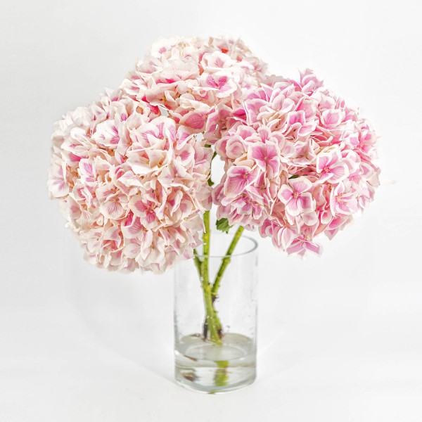 Bouquet Hydrangea Bouquet Hydrangea