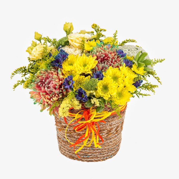 Basket of Chrysanthemum