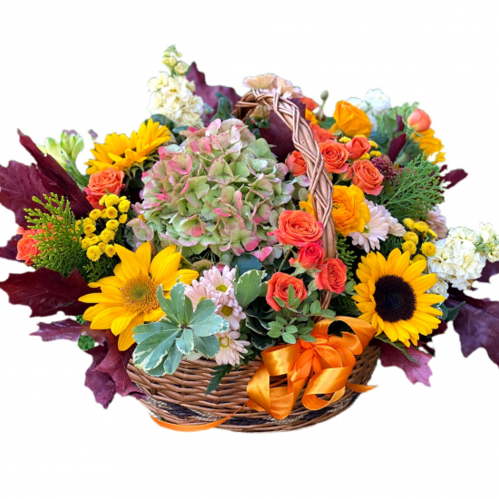 Basket of Hydrangea, Sunflower, Spray Roses, Chrysanthemum, Celosia and Greens Basket of Hydrangea, Sunflower, Spray Roses, Chrysanthemum, Celosia and Greens
