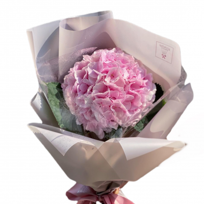 Bouquet Mono Hydrangea (Different Colour)