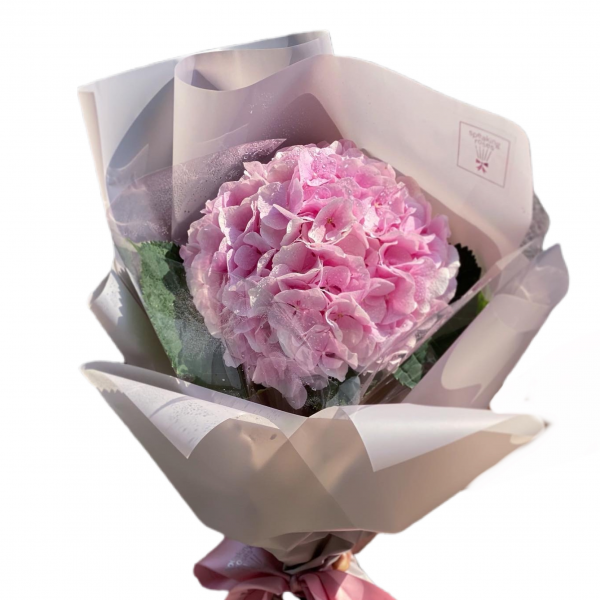 Bouquet Mono Hydrangea (Different Colour)