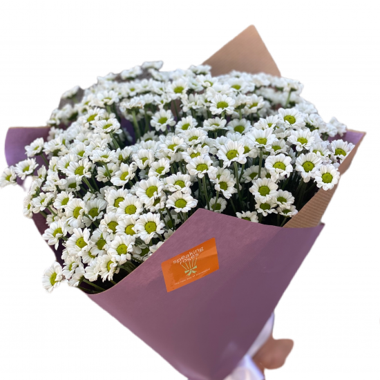 Bouquet of Chrysanthemums Santini White  