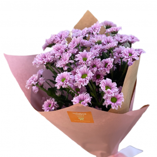 Bouquet of Chrysanthemums Santini Pink  