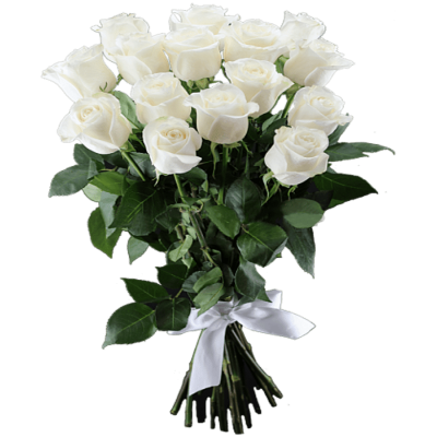 15 white Roses