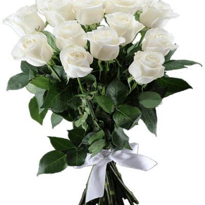 15 white Roses