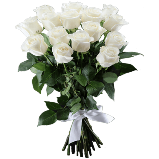15 white Roses