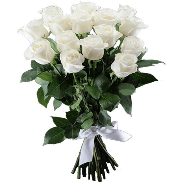 15 white Roses 15 white Roses