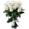15 white Roses