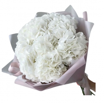 Bouquet of 5 Hydrangeas White