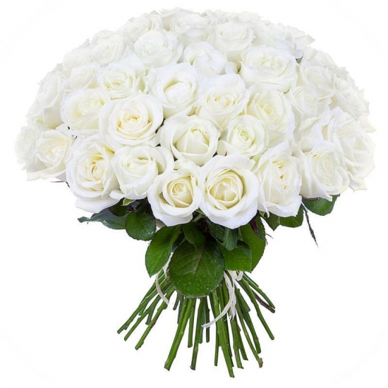 51 white Roses 