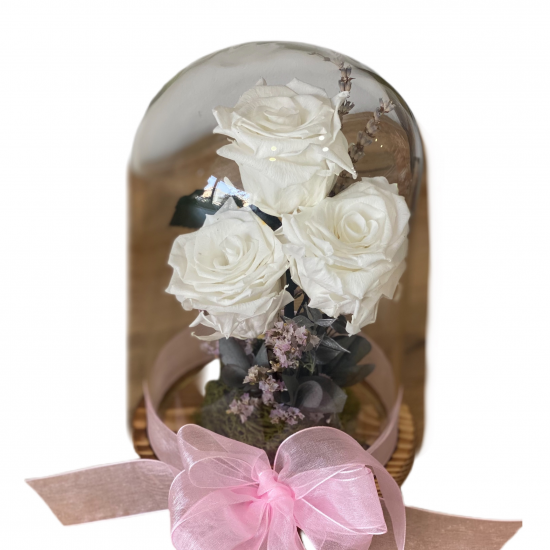 Preserved Roses in the glass Preserved Roses in the glass